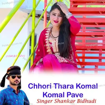 Chhori Thara Komal Komal Pave - Shankar Bidhudi