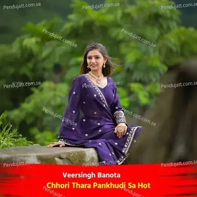 Chhori Thara Pankhudi Sa Hot - Veersingh Banota album cover 