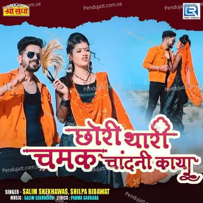 Chhori Thari Chamak Chandni Kaya - Salim Shekhawas album cover 