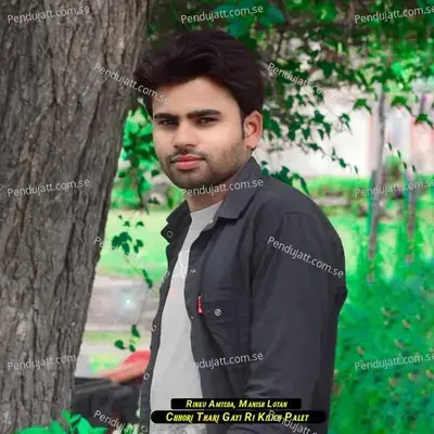 Chhori Thari Gayi Ri Kilich Palet - Rinku Amteda album cover 