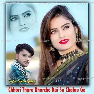 Chhori Tharo Kharcho Kai Su Chalau Go - Shankar Bidhudi album cover 