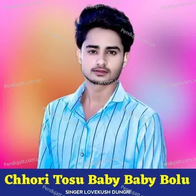 Chhori Tosu Baby Baby Bolu - Lovekush Dungri album cover 