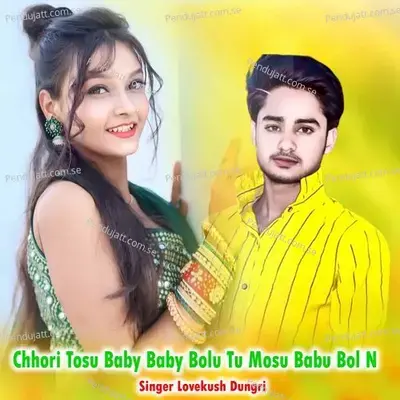 Chhori Tosu Baby Baby Bolu Tu Mosu Babu Bol N - Lovekush Dungri album cover 
