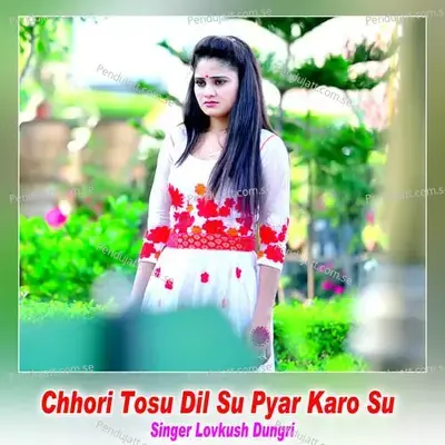 Chhori Tosu Dil Su Pyar Karo Su - Lovkush Dungri album cover 