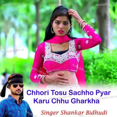 Chhori Tosu Sachho Pyar Karu Chhu Gharkha - Shankar Bidhudi