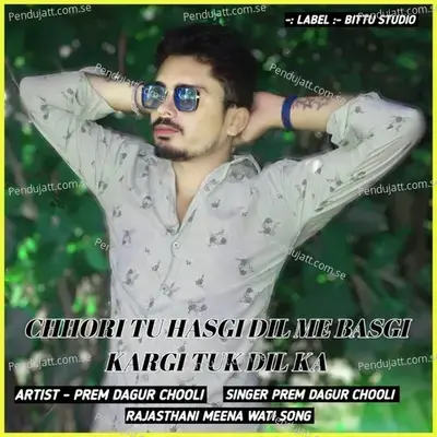 Chhori Tu Hasgi Dil Me Basgi Kargi Tuk Dil Ka - PREM DAGUR CHOOLI album cover 