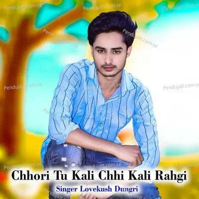 Chhori Tu Kali Chhi Kali Rahgi - Lovekush Dungri album cover 
