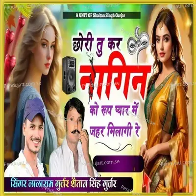 Chhori Tu Kar Nagin Ko Rup Pyar Mai Jehar Milagi Re - Shaitan Singh Gurjar album cover 