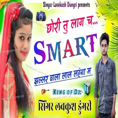 Chhori Tu Lage Cha Smart - Lovekush Dungri album cover 