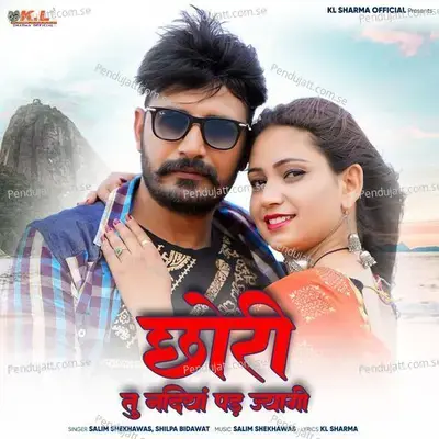 Chhori Tu Nadiya Me Pad Jyagi - Salim Shekhawas album cover 