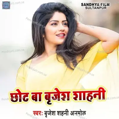 Chhot Ba Brijesh Shahani - Brijesh Shahni Anmol album cover 