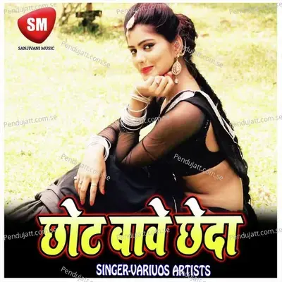 Hau Leba Ka Ho - Punam Panday album cover 
