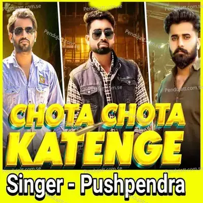 Chhota Chhota Katenge - Pushpendra album cover 