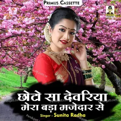 Chhota Sa Devariya Mera Bada Majedar Se - Sunita