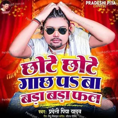 Chhote Chhote Gachh Pa Ba Bada Bada Fal - Pradeshi Piya Yadav album cover 