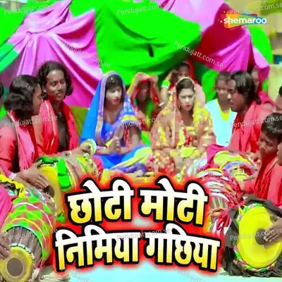 Chhoti Moti Nimiya Gachhiya - Chhotu rashila album cover 