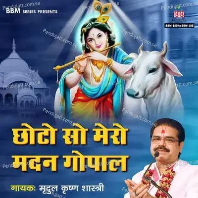 Jhoolan Chalo Hidolna Vrishbhan Nandni - Mridul Krishan Shastri album cover 