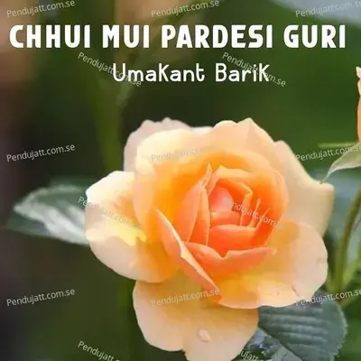 Chhui Mui Pardesi Guri - Umakant Barik album cover 