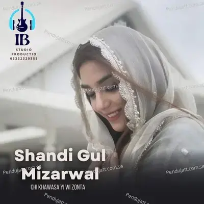 Chi Khawasa Yi Wi Zonta - Shandi Gul Mizarwal album cover 