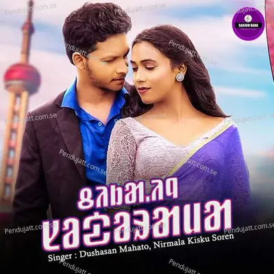 Chikanj Sodorama - Dushasan Mahato album cover 