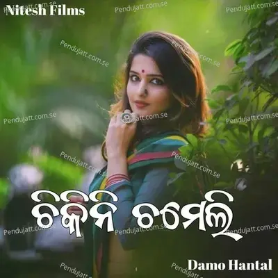 Chikni Chameli - Damo Hantal album cover 