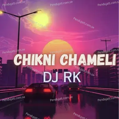Chikni Chameli - DJ Rk album cover 