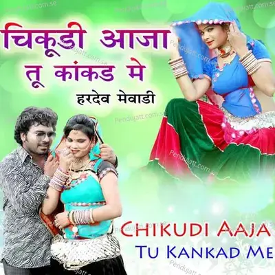 Chikudi Aaja Tu Kakad Me - Hardev Mewadi album cover 