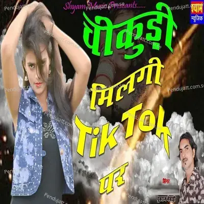 Chikudi Milgi Tik Tok Par - Yuvraj Mewadi