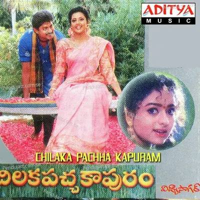 Kanchi Pattu Cheerakatti - Vidhya Sagar album cover 