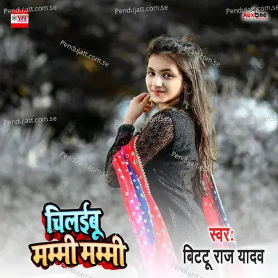 Chilibu Mammi Mammi - Bittu Raj Yadav album cover 