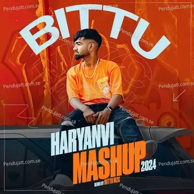 Chill Haryanvi Mashup - Bittu MZC album cover 