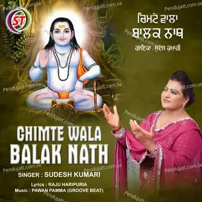 Chimte Wala Balak Nath - Sudesh Kumari album cover 