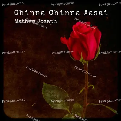 Chinna Chinna Aasai - Mathew Joseph album cover 