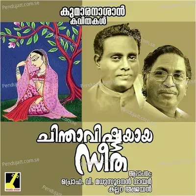 Chinthavishtayaya Seetha - Kallara Ajayan album cover 