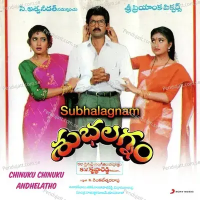 Chinuku Chinuku Andelatho - S.V. Krishna Reddy album cover 