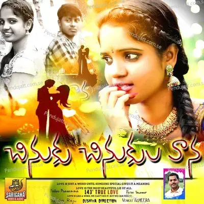 Chinuku Chinuku Vana - NAVA SANDEEP album cover 