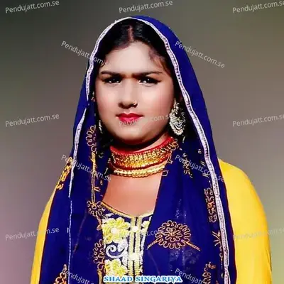 Chirkhana Na Dekho - Shaad Singariya album cover 