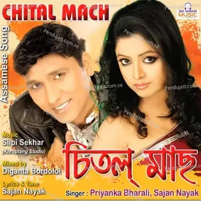 Chital Mach - Sajan Nayak album cover 