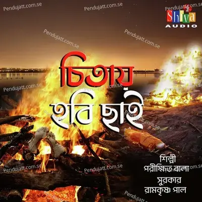 Chitay Hobi Chai - Parikshit Bala album cover 