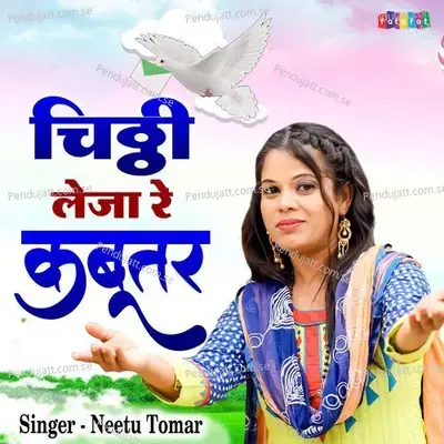 Chithi Leja Re Kabutar - Neetu Tomar album cover 