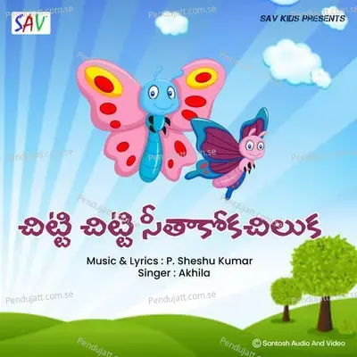 Chitti Chitti Seethakokachiluka - Akhila album cover 