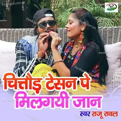 Chittod Tesion Milegi Jaan - Raju Rawal album cover 