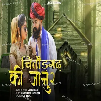 Chittorgarh Ki Jaanu 2 - Mukesh Mali Taswariya album cover 