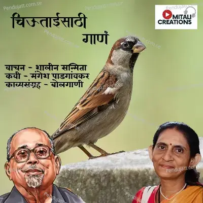 Chiutai Saathi Gaana - Shalin Sanmita album cover 