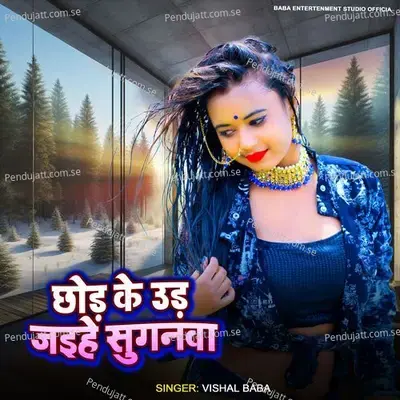 Chod Ke Ud Jaihe Suganwa - Vishal Baba album cover 