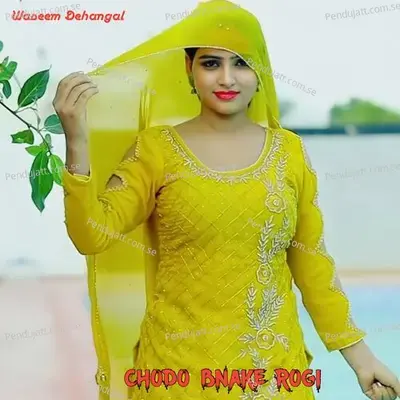 Chodo Bnake Rogi - Waseem Dehangal album cover 