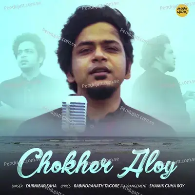 Chokher Aloy - Durnibar Saha album cover 