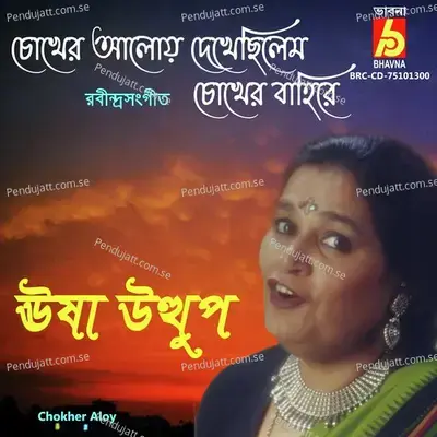 Chokher Aloy mp3 song