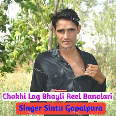 Chokhi Lag Bhayli Reel Banalari - Sintu Gopalpura album cover 