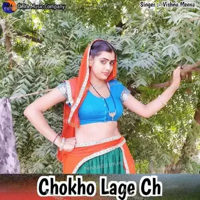 Chokho Lage Ch - Vishnu Meena album cover 